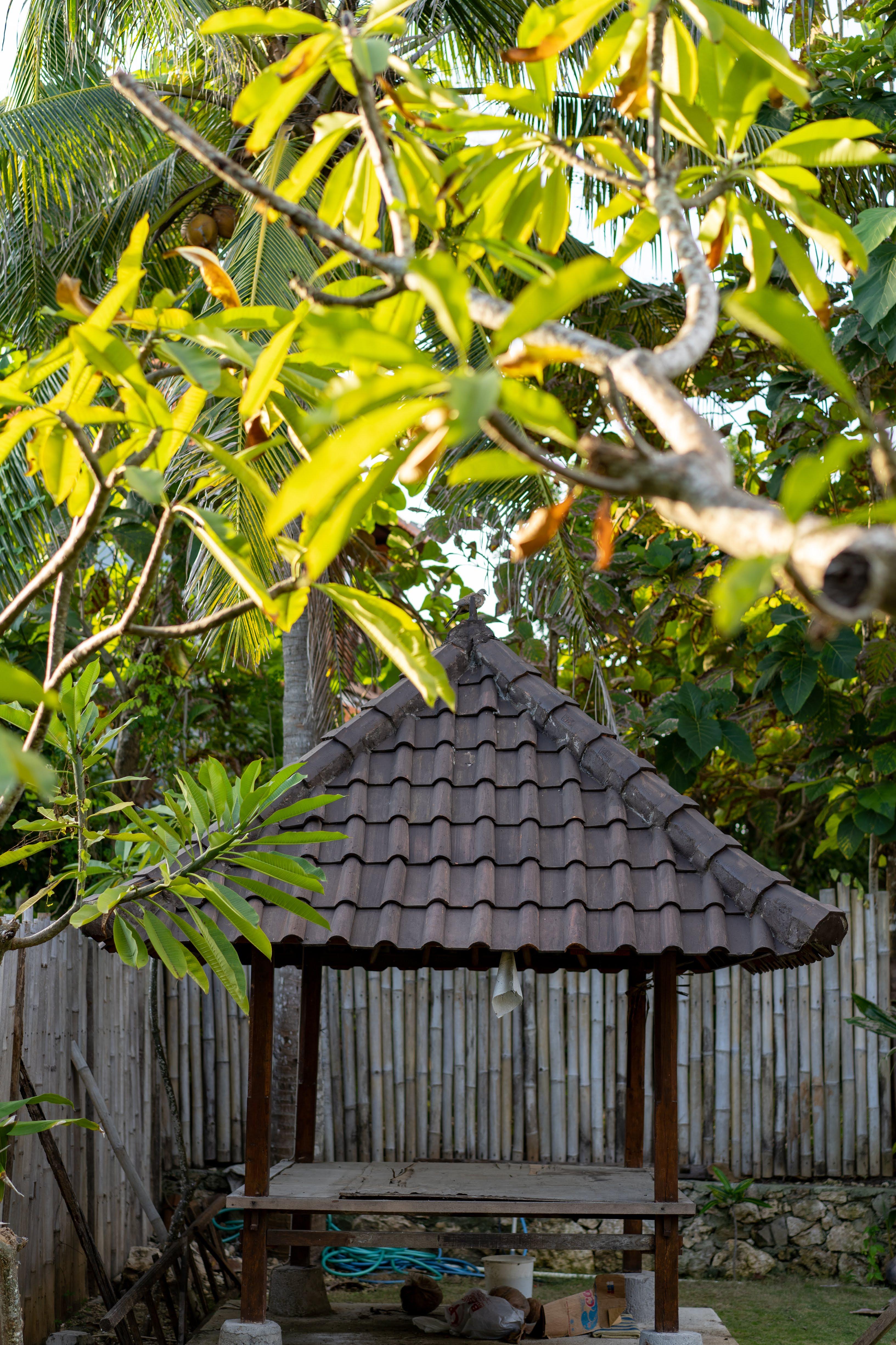 Pemuntalan Guesthouse Lembongan Eksteriør bilde